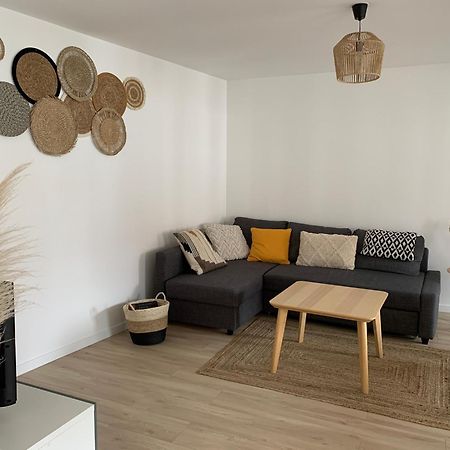 Les Rives Du Chateau, 90M2, Vue Sur Le Canal Saverne Eksteriør billede