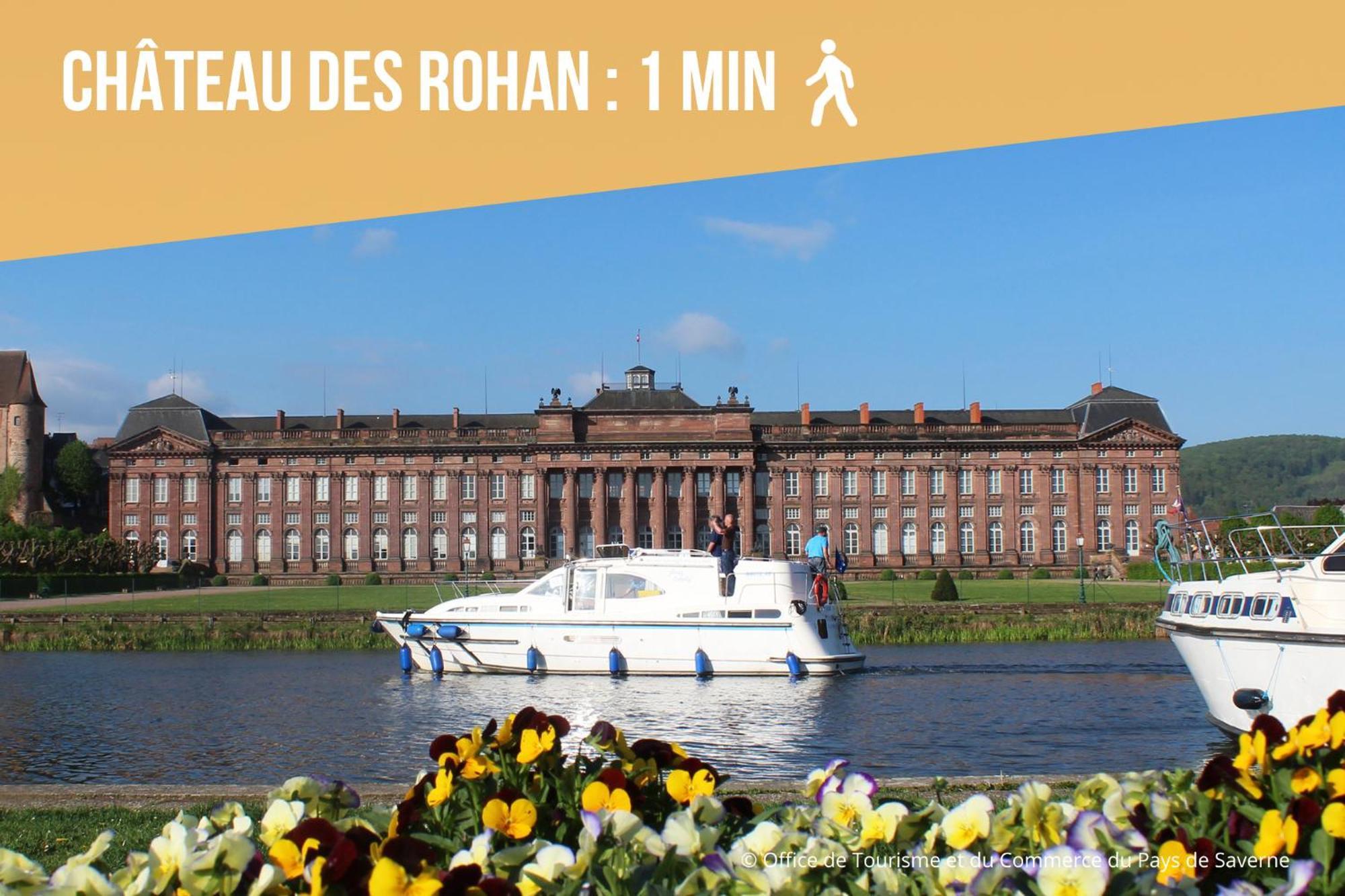 Les Rives Du Chateau, 90M2, Vue Sur Le Canal Saverne Eksteriør billede