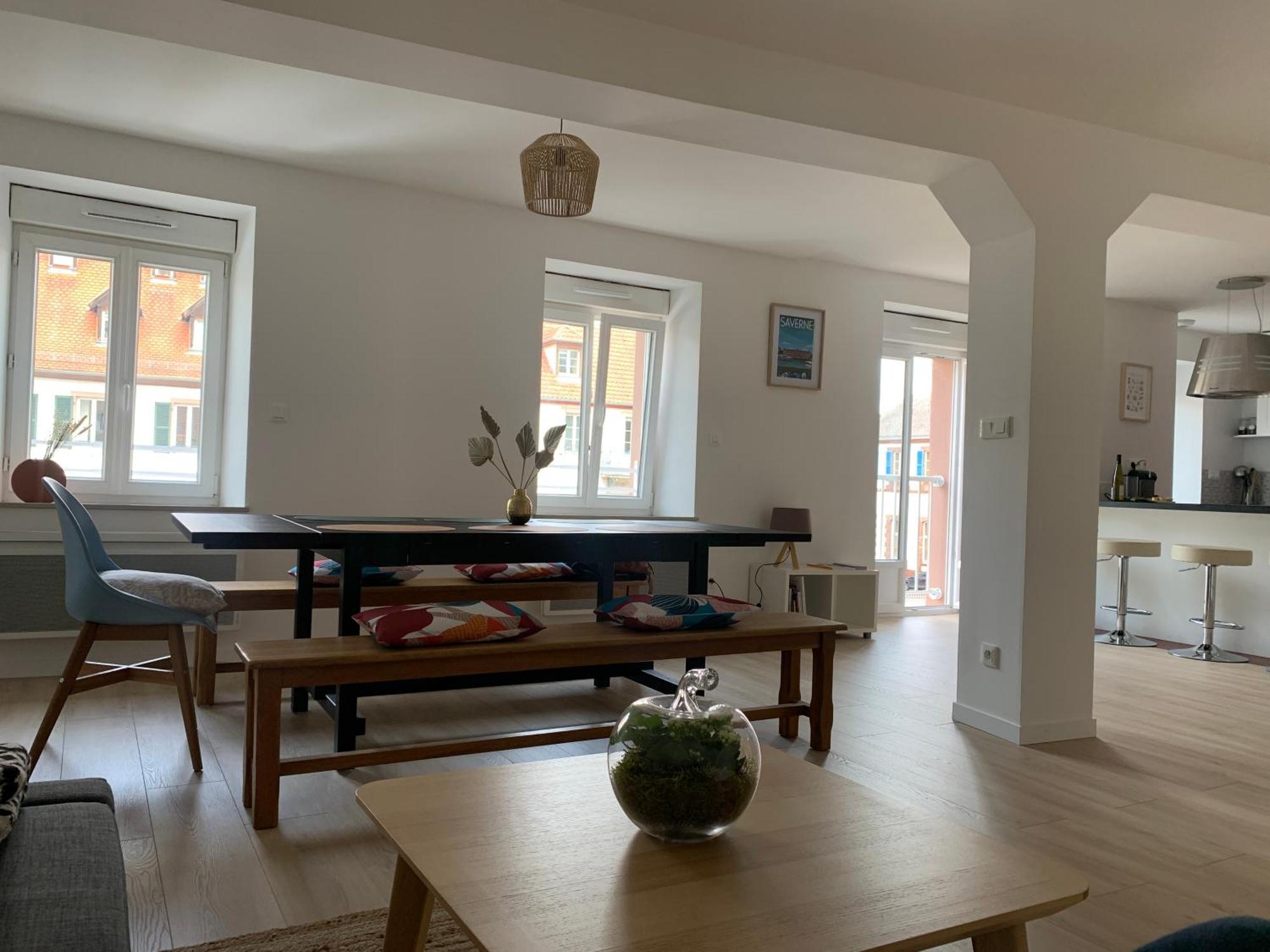 Les Rives Du Chateau, 90M2, Vue Sur Le Canal Saverne Eksteriør billede