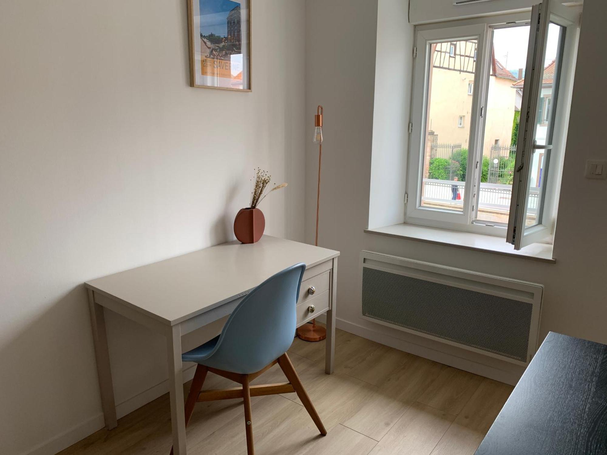 Les Rives Du Chateau, 90M2, Vue Sur Le Canal Saverne Eksteriør billede