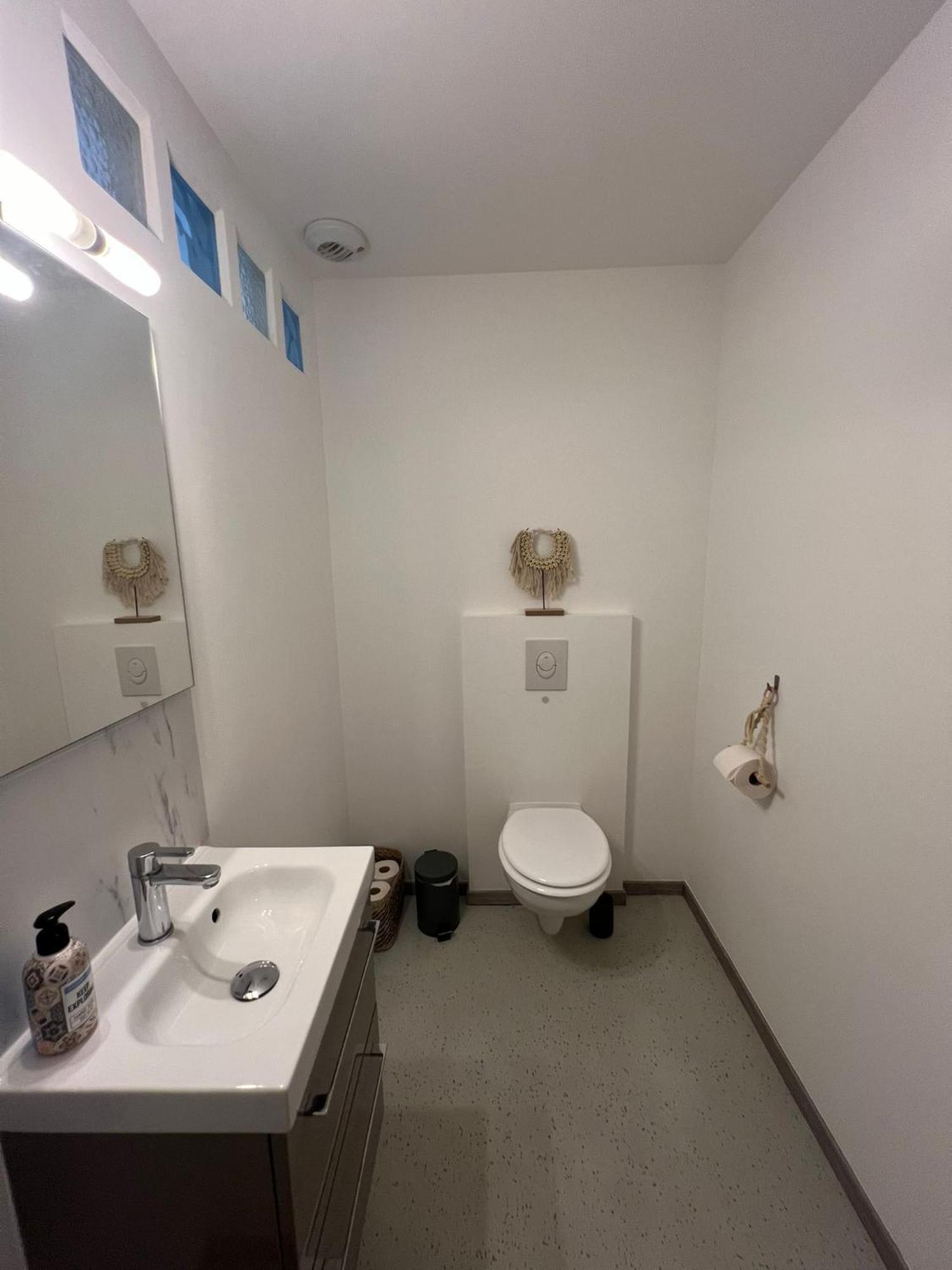Les Rives Du Chateau, 90M2, Vue Sur Le Canal Saverne Eksteriør billede